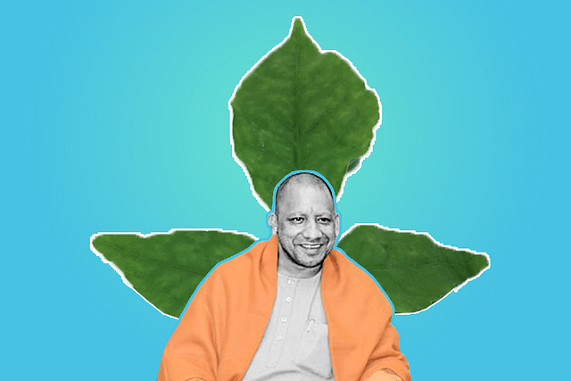 Yogi Govt Plants Billion Saplings In Uttar Pradesh Since Report