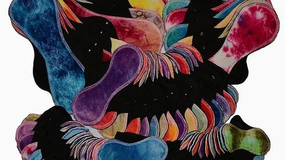 Why India Doesn’t Need The Sanitary Napkin Revolution