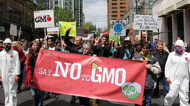 Anti-GM protestors 