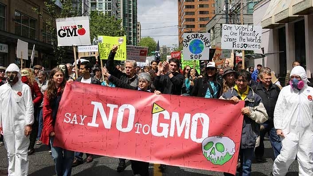 Anti-GM protestors 