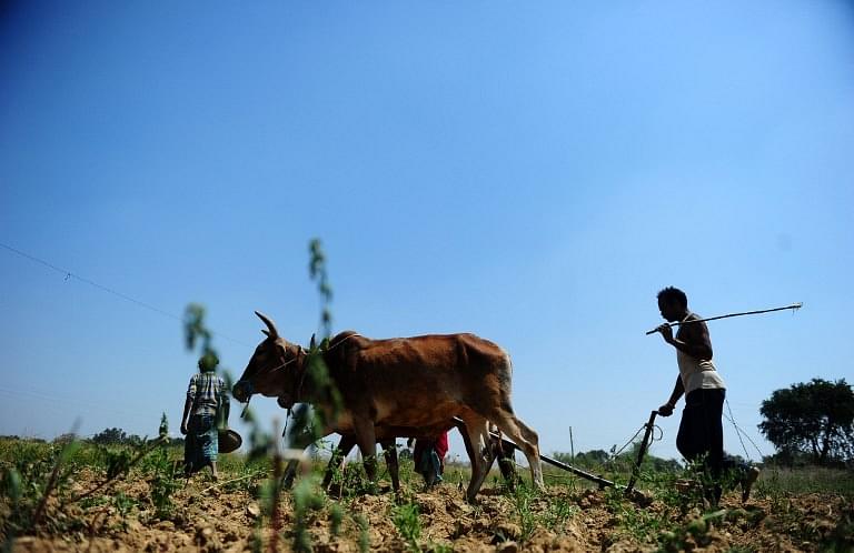 To Help Farmers In Rabi Season, Centre Extends Aadhaar Seeding Date For PM Kisan Samman Nidhi Scheme
