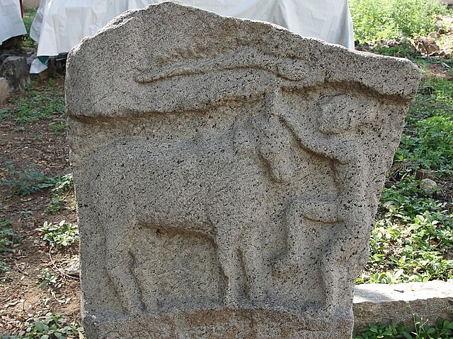 Animal Welfare Activists Are Wrong. Banning Jallikattu Will Endanger Many Native Livestock Breeds