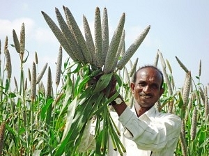 Food Security: Re-engineering Solutions for Sustainability