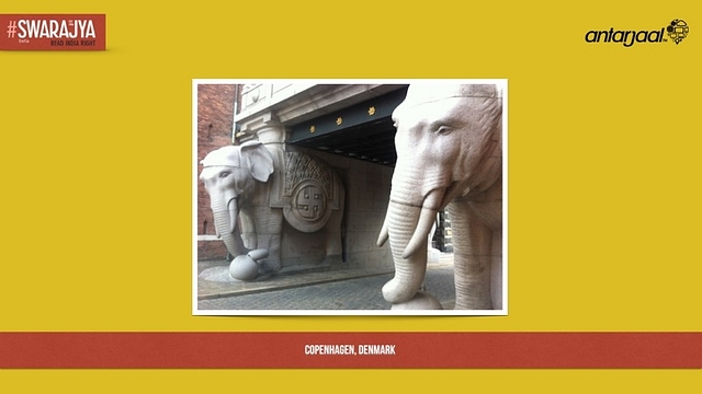 Elephants Come To Life