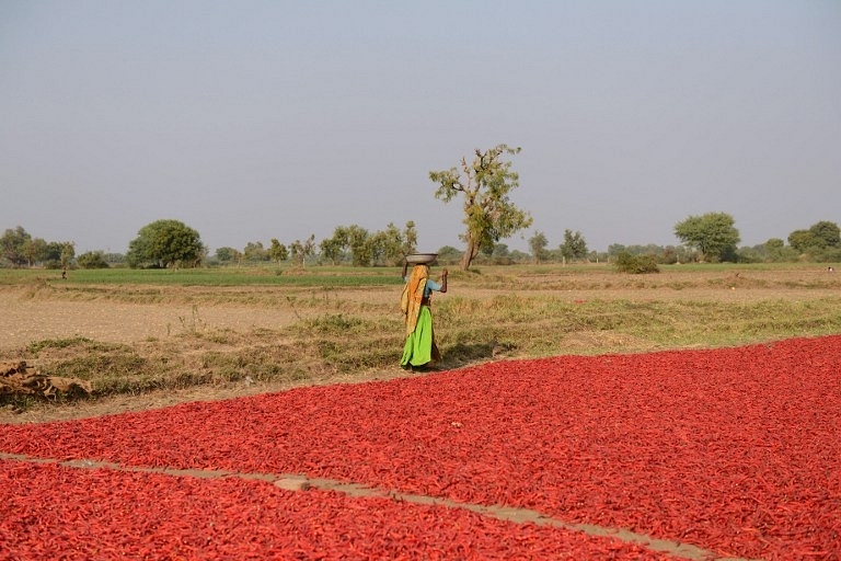 How Do We Fund Our Farmer Producer Organizations?