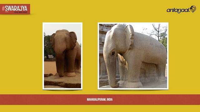 Elephants Come To Life