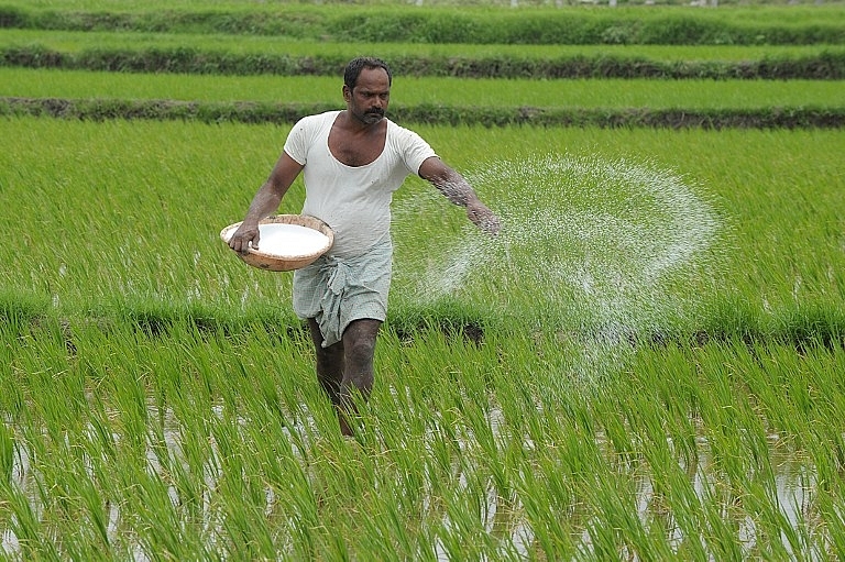 Ashok Gulati On How Skewed Subsidy Policies Are Killing The Fertiliser Industry