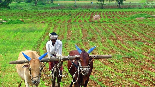 Farmer ploughing his field/Getty Images