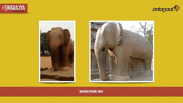 Elephants Come To Life