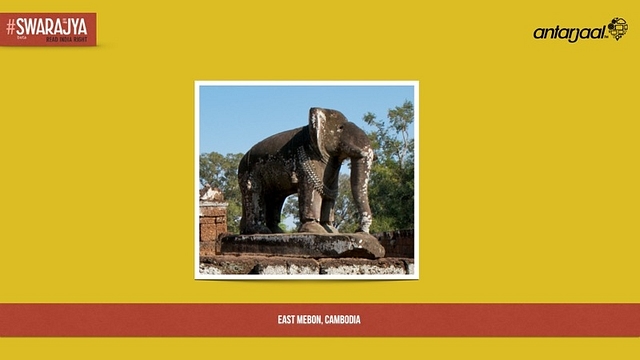 Elephants Come To Life