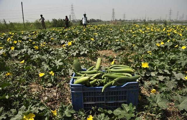 Should Urea Prices Be Increased?