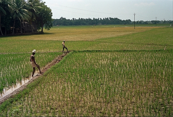 Representative image (Irrigation) (Getty Images)