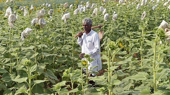 Farm loan waivers must end.