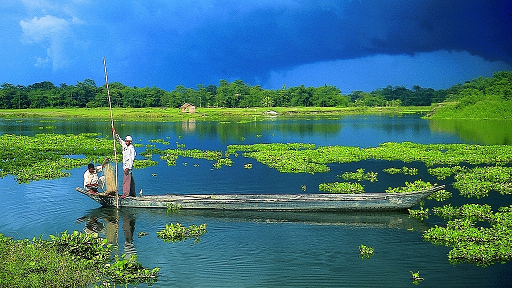 Majuli