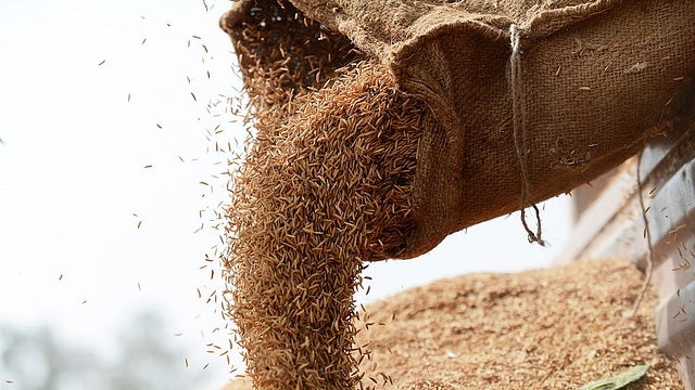 India food grain (ROBERTO SCHMIDT/AFP/Getty Images)