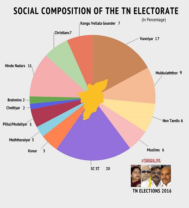 Social Composition of the Electorate