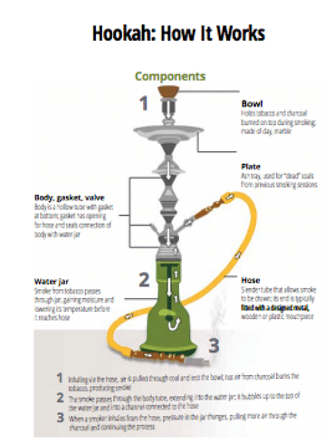 The well-crafted hookah evokes an image of
feminine beauty with its elegant and curvy profile