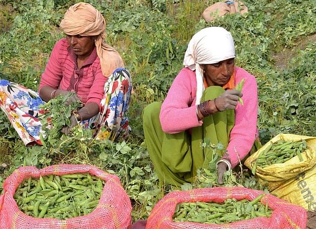 Harvesting The Benefits Of Electronic National Agriculture Market – 10 Focus Areas