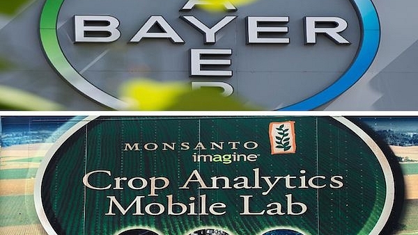 What’s The Deal With The Bayer-Monsanto Merger?