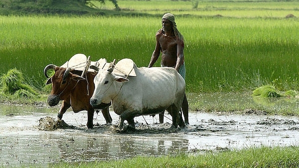 Photo: DESHAKALYAN CHOWDHURY/AFP/GettyImages