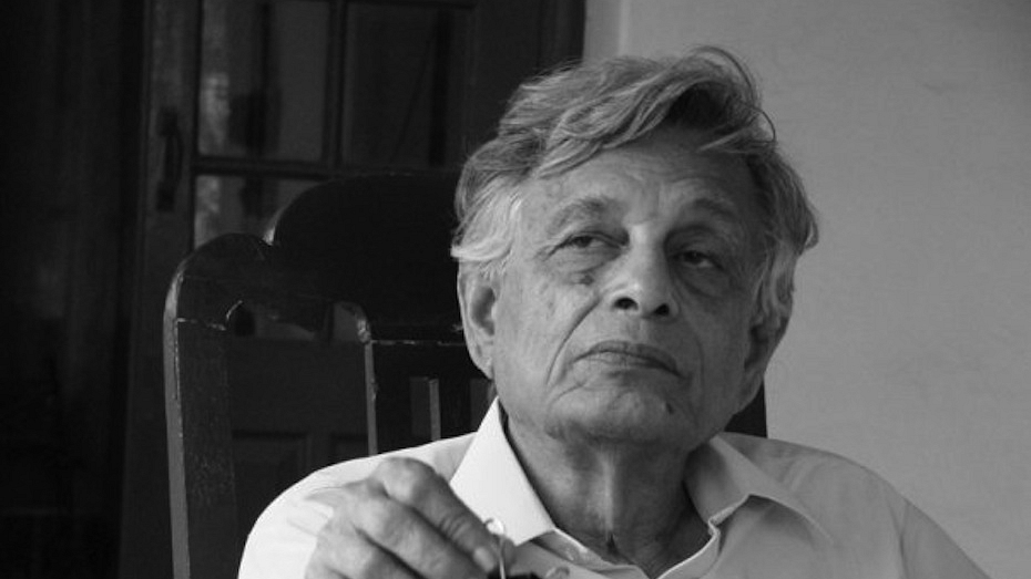 Irfan Habib (Amber Habib/Wikimedia Commons)