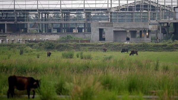 Cattle roam in front of a factory shed at the Tata Motors factory complex at Singur. (DESHAKALYAN CHOWDHURY/AFP/Getty Images)