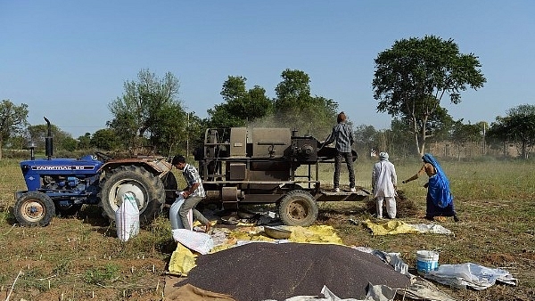 Indian farmers process mustard seeds in Alwar district of the western state of Rajasthan. (SAJJAD HUSSAIN/AFP/Getty Images)