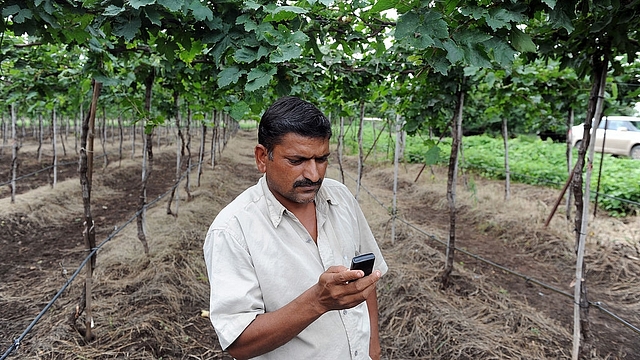 Indian grape and tomato farmer Sanjay Sathe placing a call
to a dedicated agri-call centre to check out the weather forecast, on his
vineyard in the village of Naitale in Nashik District. Photo credit: INDRANIL
MUKHERJEE/AFP/GettyImages &nbsp; &nbsp; &nbsp;