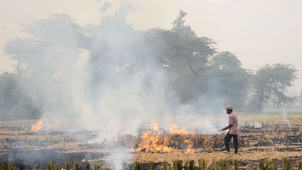 Paddy stubble burning in Punjab (NARINDER NANU/AFP/Getty Images)