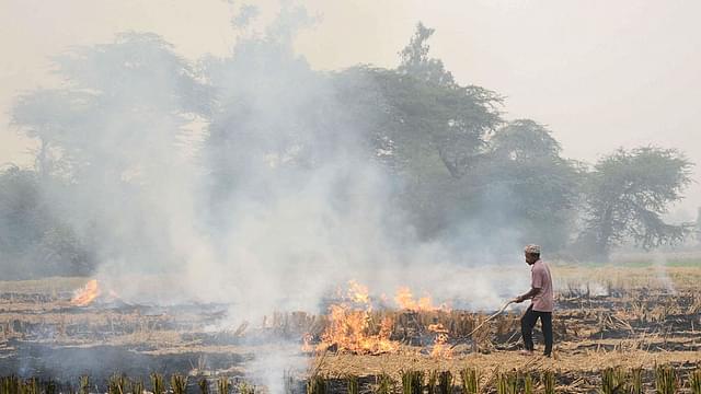 Corporates Must Promote Conservation Agriculture in Punjab To End the Menace of Stubble-Burning in Fields