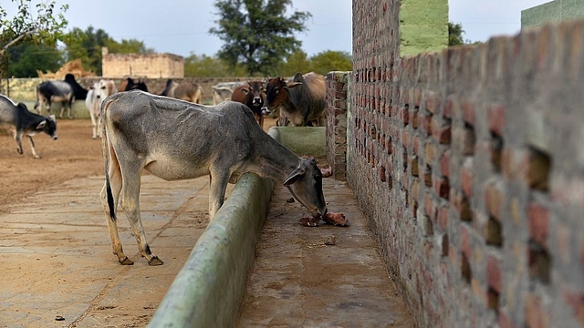 (AFP PHOTO/CHANDAN KHANNA)&nbsp;