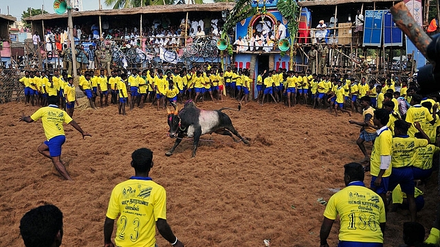 Participants stand and react in a ring during the traditional bull-taming festival called ‘Jallikattu’ in Palamedu near Madurai. (STRDEL/AFP/Getty Images)