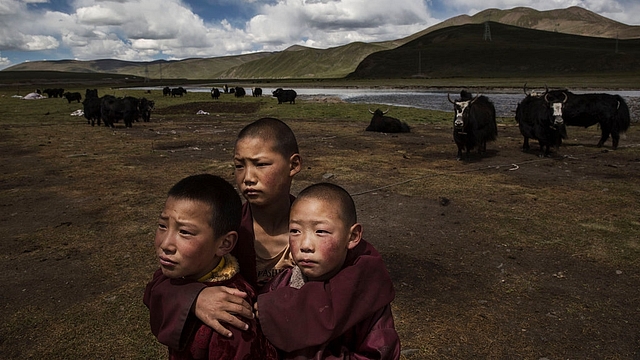 Young Tibetan Buddhist novice monks stand in the grasslands of their nomadic camp on the Tibetan Plateau in Qinghai, China. (Kevin Frayer/Getty Images)