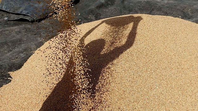 A farmer sorts through their wheat crop in a village on the outskirts of Beawar, about 184km southwest of Jaipur, Rajasthan. (-/AFP/Getty Images)