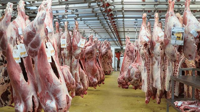 A 
slaughter house.  (ET)