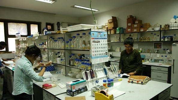 

Researchers and students in a lab at the Indian Agricultural Research Institute. (Sumeet Inder Singh/The India Today Group/Getty Images)