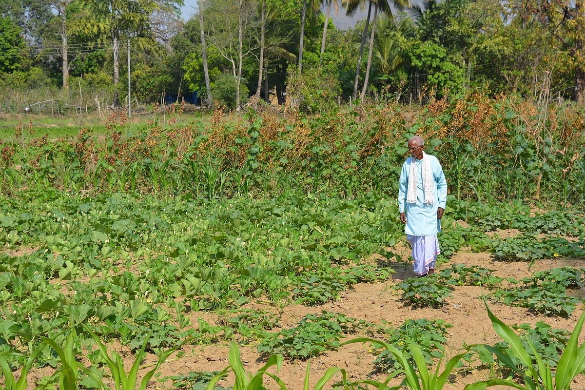 Chhattisgarh Invites Former Officer From Andhra To Promote Organic Farming In The State