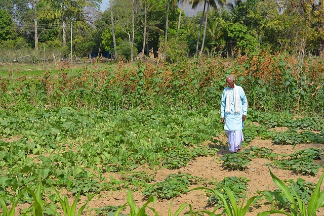 Organic Farming