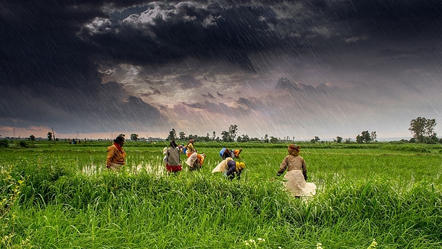 Madhya Pradesh agriculture (Rajarshi Mitra/Wikimedia Commons)