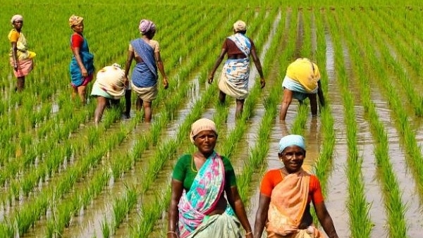 Farming in India