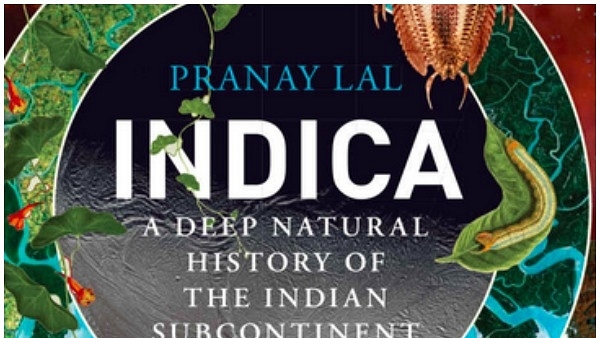 ‘Indica’ Is A Thoroughly Enjoyable And Educative Safari Deep Into Geological History Of India