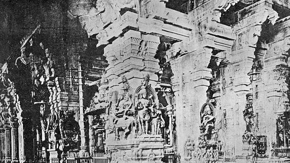 The Pillars Of Our Culture Celebrate All Consciousness, With No Exceptions 