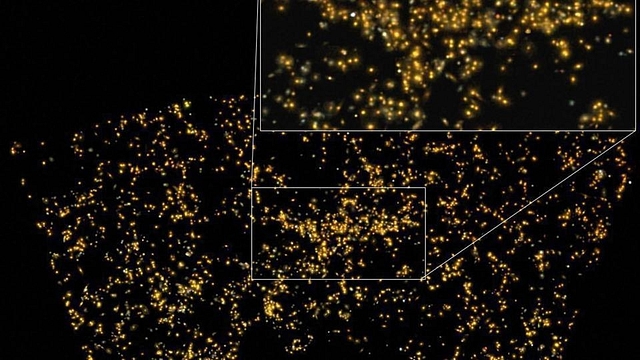 
Saraswati, supercluster of galaxies

