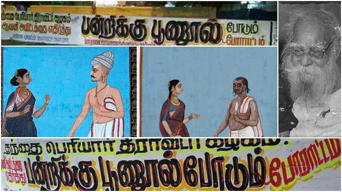 

Sacred Thread On Pigs, Because In Tamil Nadu, Cultural Illiteracy Is Social Reform