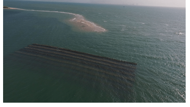 Deployed AR structure in one block in the Gulf of Mannar (Credit: India Science Wire)