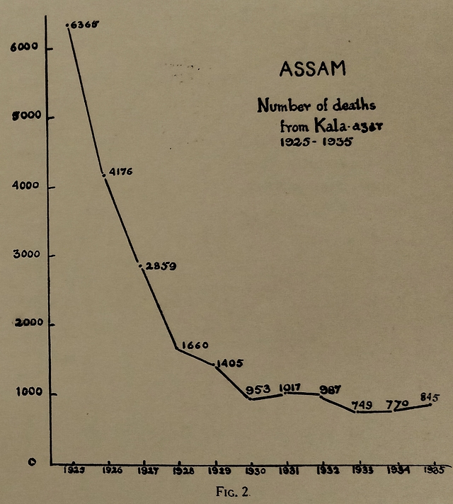 Figure 6. The miracle of urea stibamine, hand-drawn by Brahmachari himself. (From ‘Gleanings From My Researches’, by Upendranath Brahmachari, Calcutta University Press, 1940)