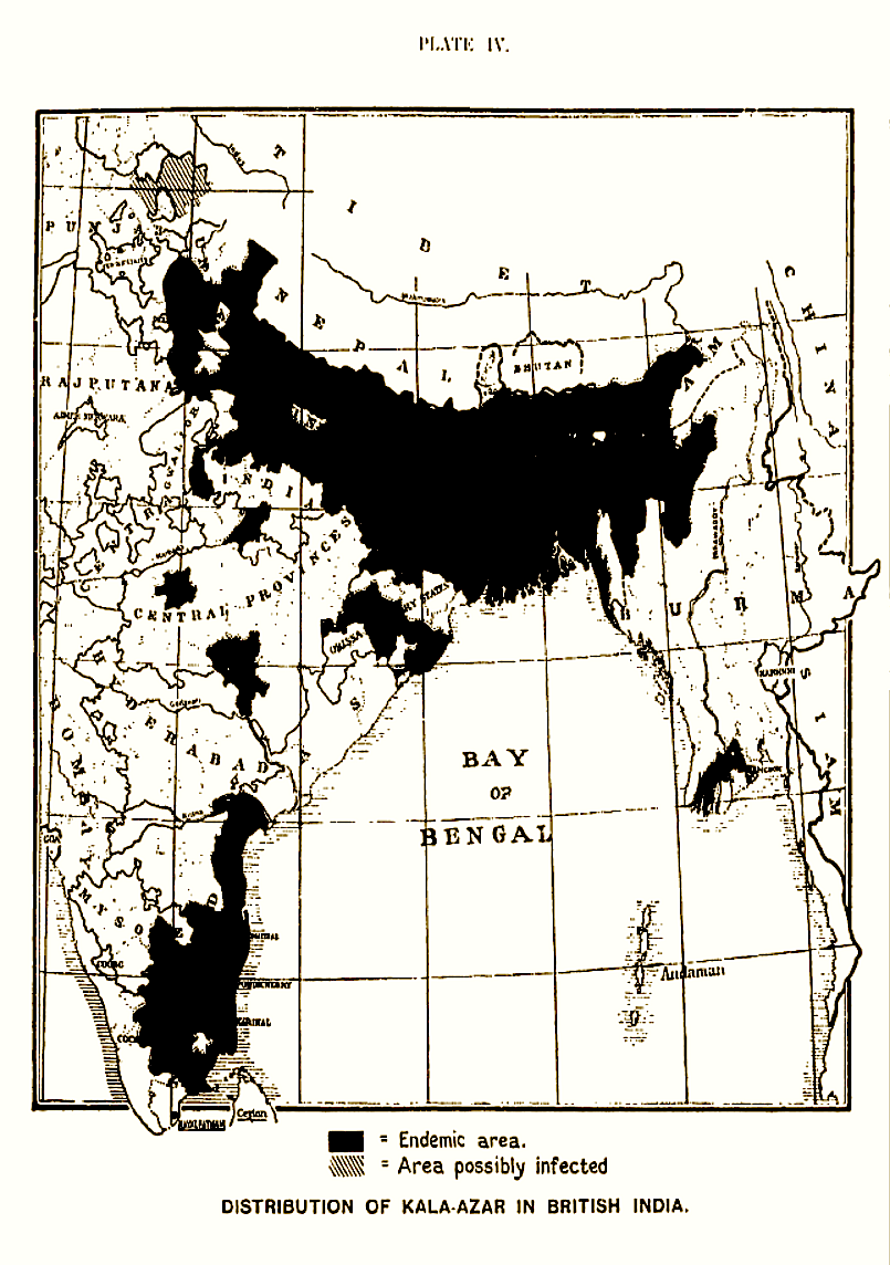 

Figure 1. Distribution of kala-azar in British India (From ‘A Treatise on Kala-azar’, by Upendranath Brahmachari, John Bale, Sons and Danielson Limited, 1928)