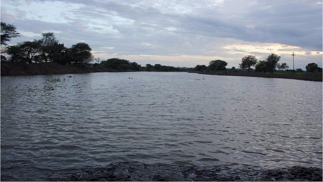 Gharni River, after it was rejuvenated