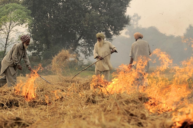 Crop stubble being burnt in Punjab (CIAT/Wikimedia Commons)