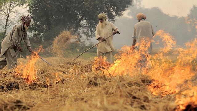 Crop Stubble being burnt in Punjab (CIAT/Wikimedia Commons)